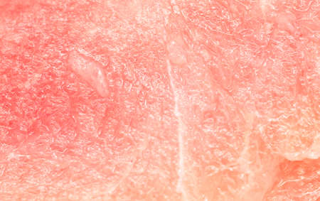 turkey meat macroの写真素材