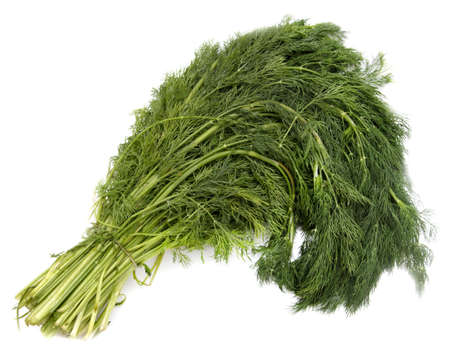 green dillの写真素材