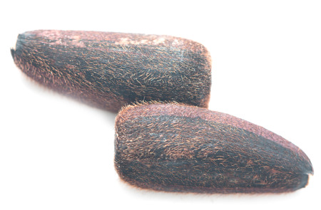black seeds on a white background