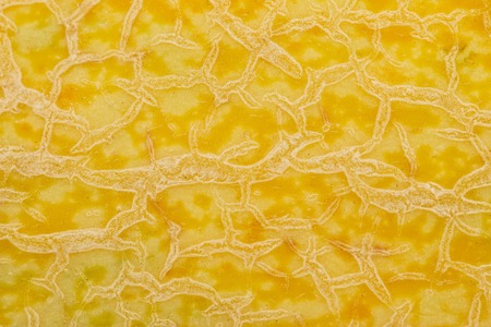 melon rind macro as backgroundの写真素材