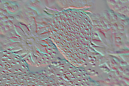 Structural gray background