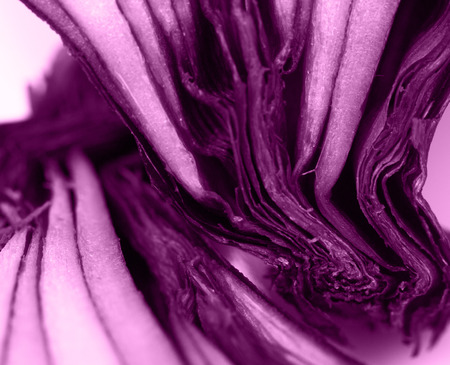 sliced ââred onion on white backgroundの写真素材