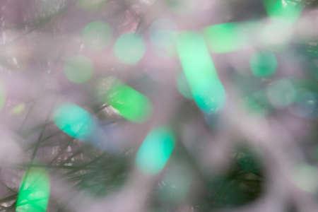 green and white bokehの写真素材