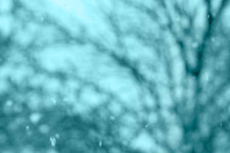 blue bokehの写真素材