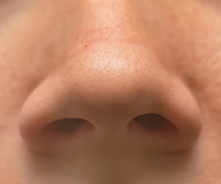 nose close-upの写真素材