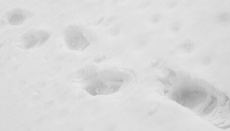 traces of feet in the snowの写真素材