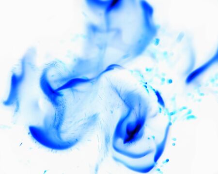 blue flame fire on a white backgroundの写真素材