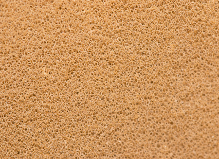 porous brown backgroundの写真素材