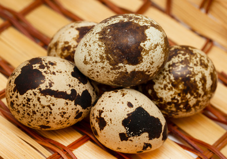 quail eggs on a wooden backgroundの写真素材