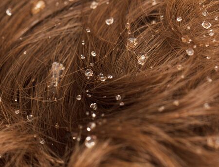 Water drops on the hairの写真素材