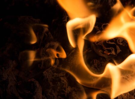 Fire flames on a black background