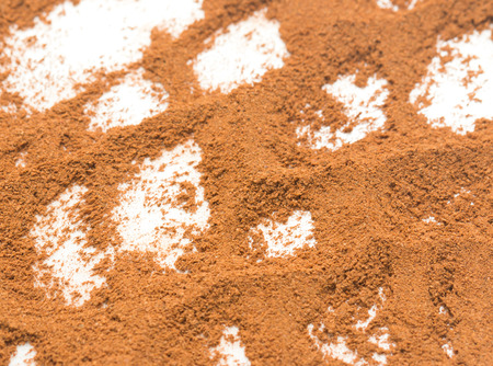 ground cinnamon on a white backgroundの写真素材