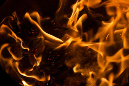 Fire flames on a black background