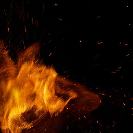 Fire flames on a black background