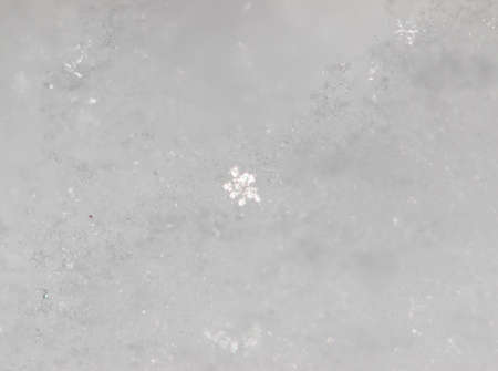 snow as the background