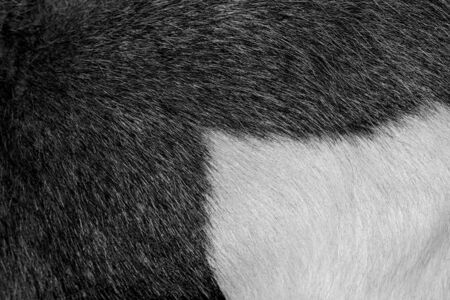 wool as backgroundの写真素材