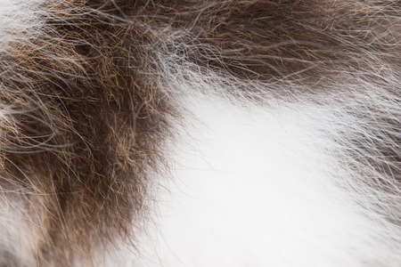 wool as backgroundの写真素材