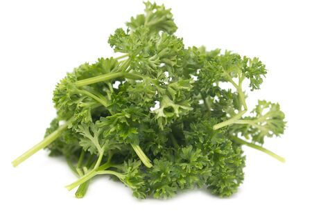 parsley on a white backgroundの写真素材