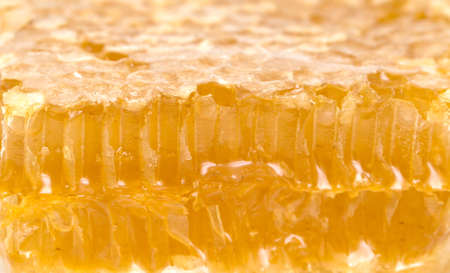 Honey as a background