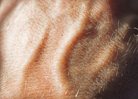 vein in the armの写真素材