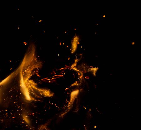 fire flames with sparks on a black backgroundの写真素材