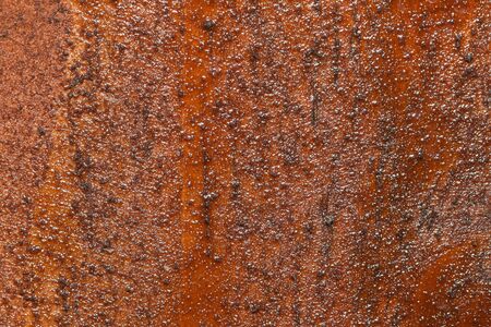wood fence varnished