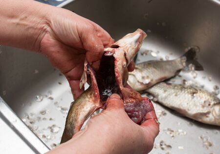 cleaning fish on the scales