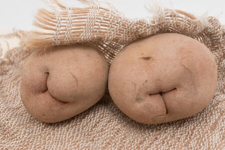 fresh potatoes on sackingの写真素材