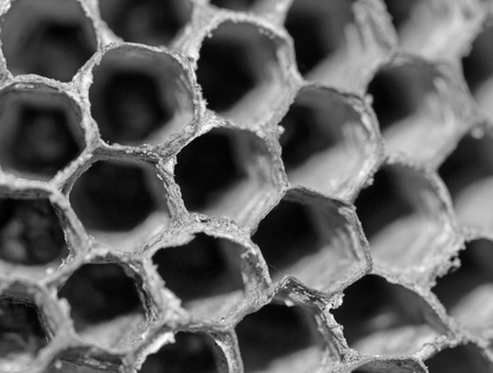 Honeycombs as a backgroundの写真素材