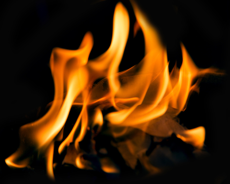 Fire flames on a black background