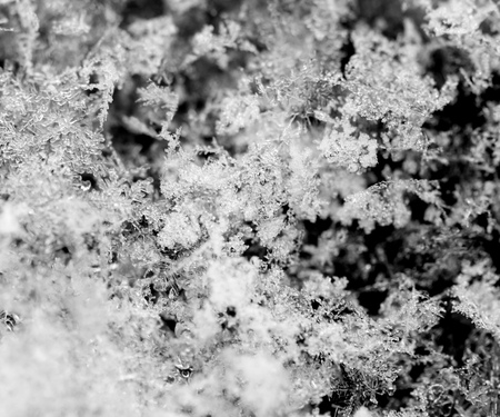 snowflakes as backgroundの写真素材