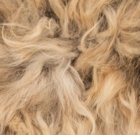 brown wool as backgroundの写真素材