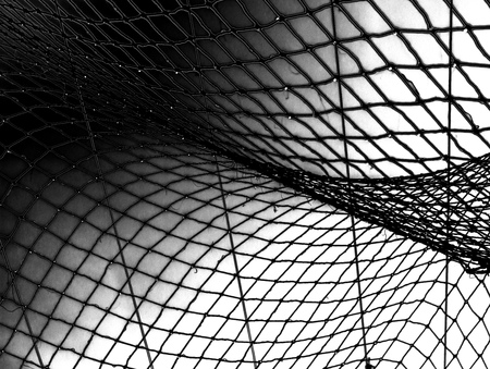 black and white background with gridの写真素材