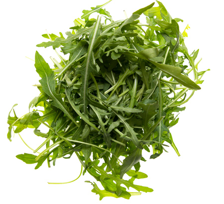 leaves of arugula on white backgroundの写真素材