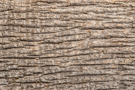 textured wooden background