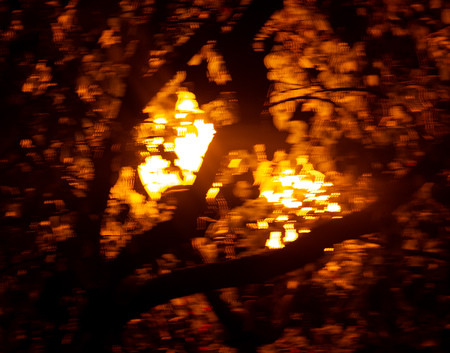 blurred light of lanterns as background