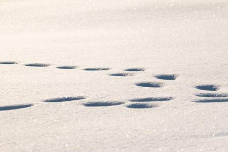 footprints in the snow