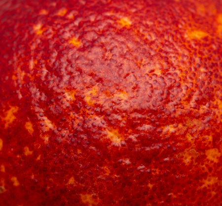 red orange peel as backgroundの写真素材