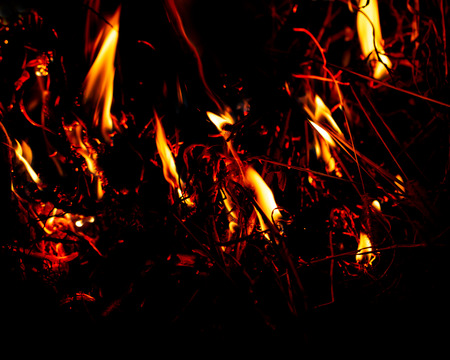 flame of fire on a black backgroundの写真素材