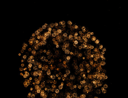 firework lights on black background