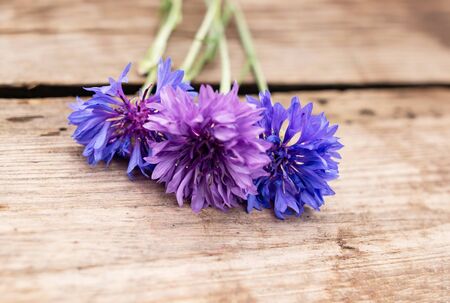 Cornflower flowers on a wooden backgroundの写真素材