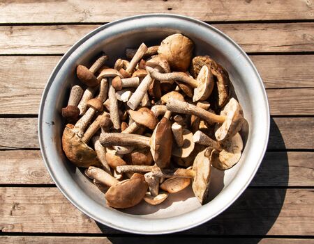 forest mushrooms on a wooden backgroundの写真素材