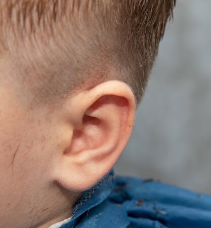 bright baby ear as backgroundの写真素材