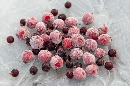 frozen berries on ice backgroundの写真素材