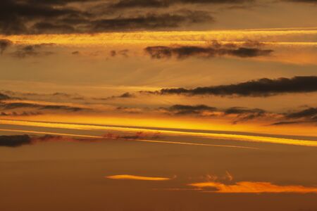 sunny sunset in nature in yellow-pink tonesの写真素材