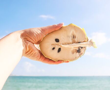 tropical annona fruit on sky backgroundの写真素材