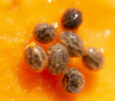 papaya pulp with pits as background