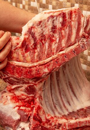 fresh piece of pork pulp with ribsの写真素材