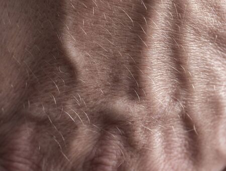veins on a male hand as a backgroundの写真素材
