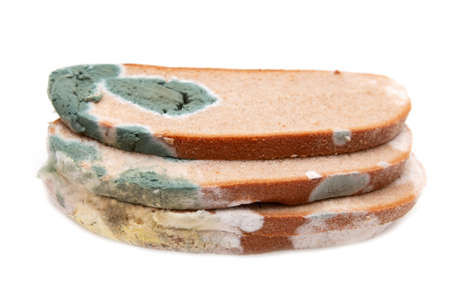 multicolored mold on rye bread on white background